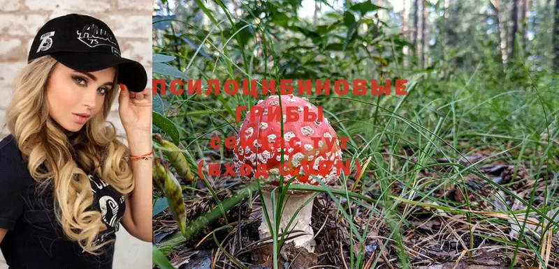 кракен   Канаш  Галлюциногенные грибы Magic Shrooms 